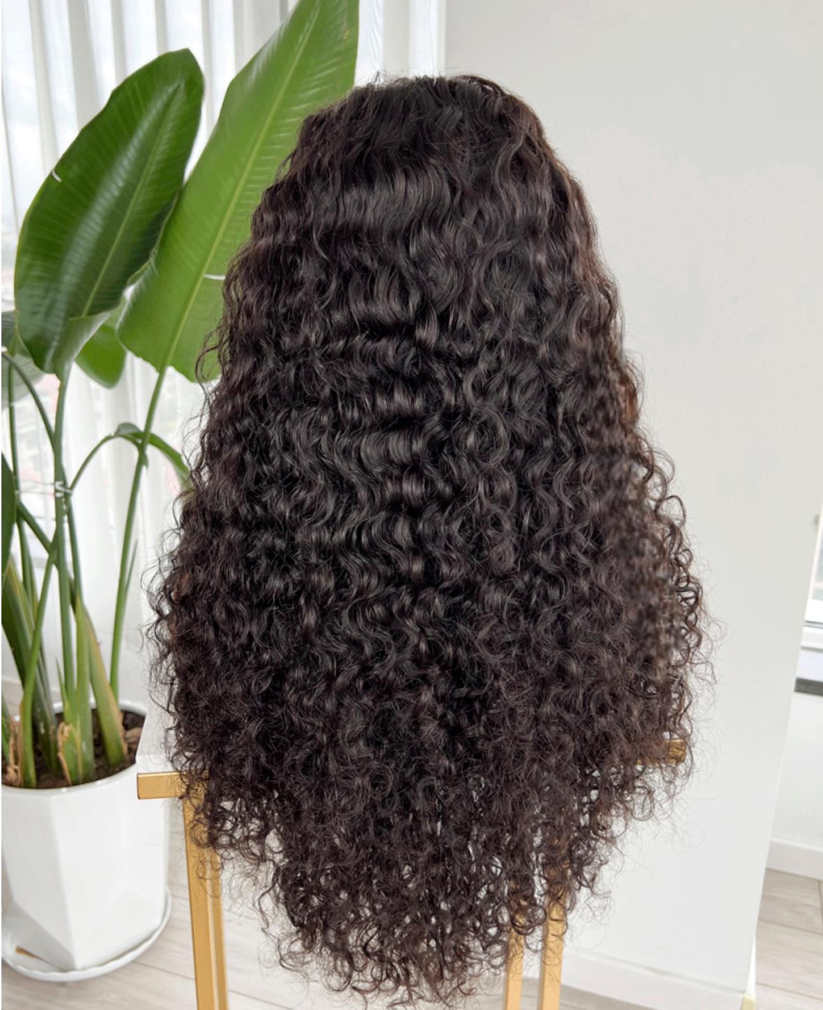 Waves and Curls